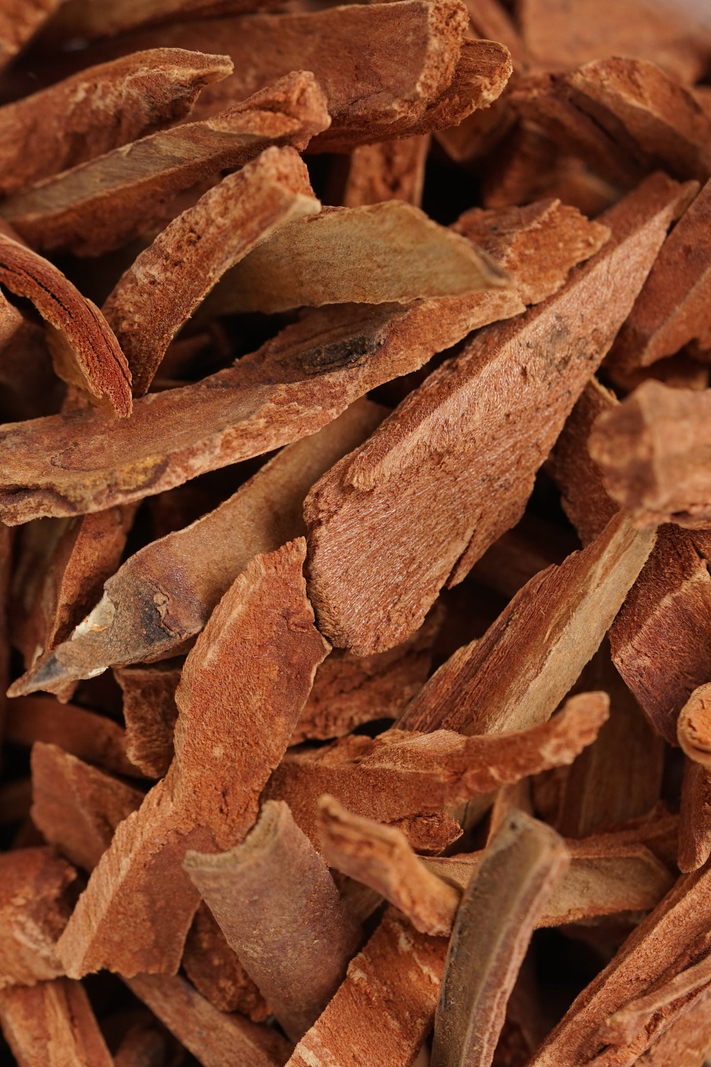KALINGAG / CASSIA BARK (NEGROS OCCIDENTAL)