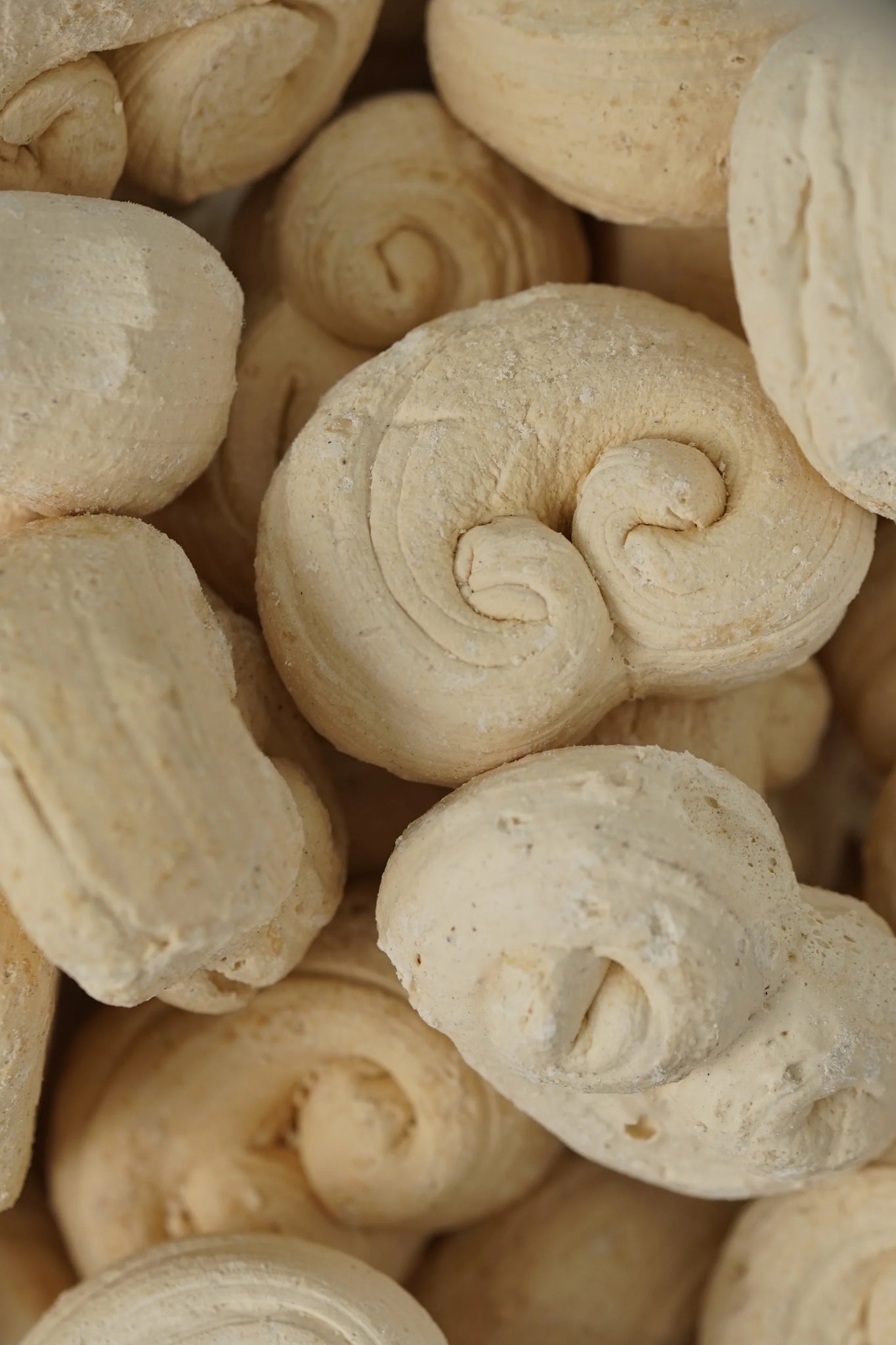 BALICUCHA (ILOCOS SUR)