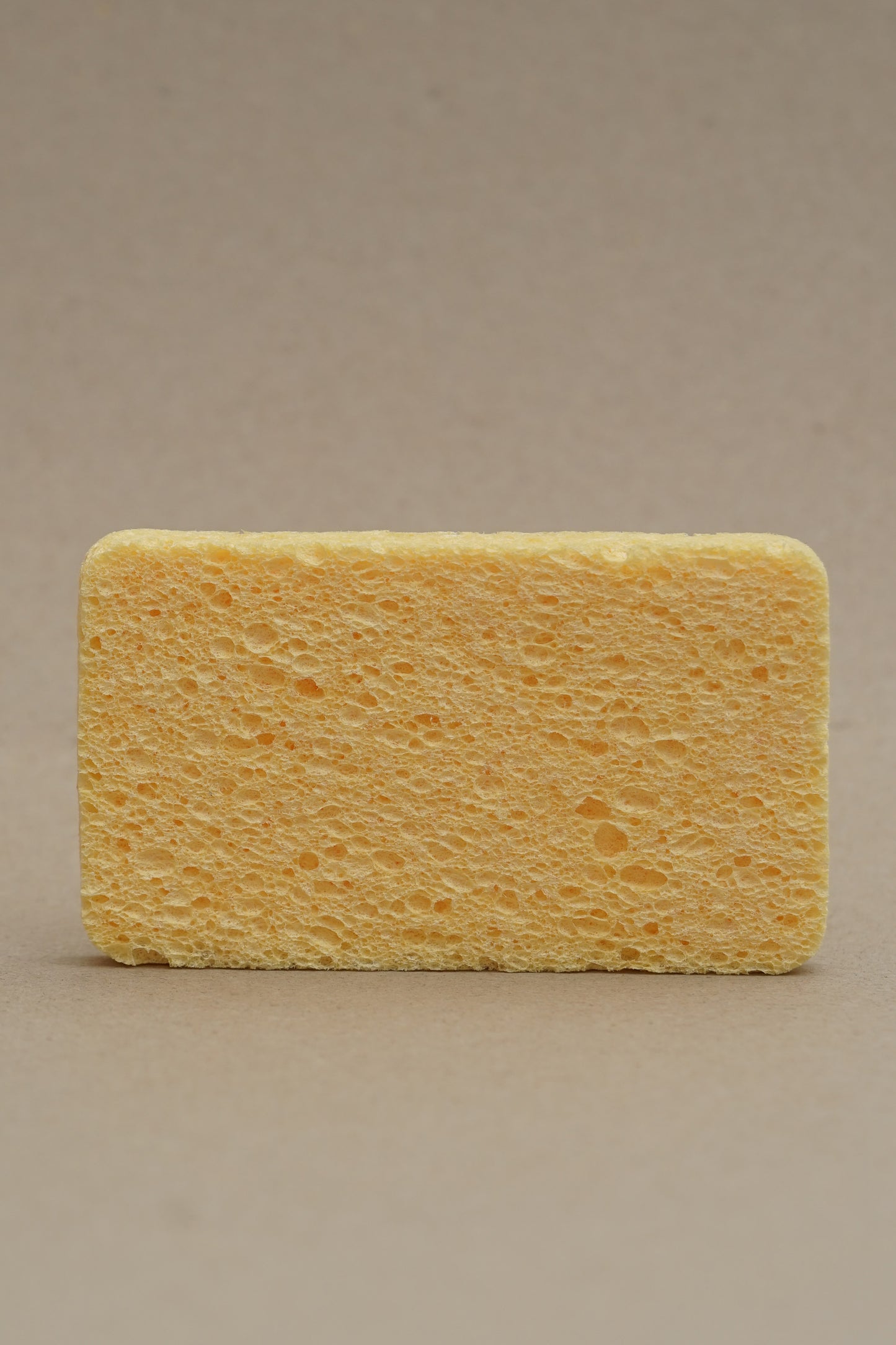 CELLULOSE SPONGE