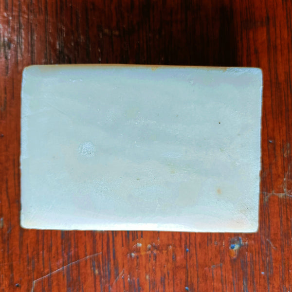 RAW ORGANIC COCONUT OIL BAR SOAP