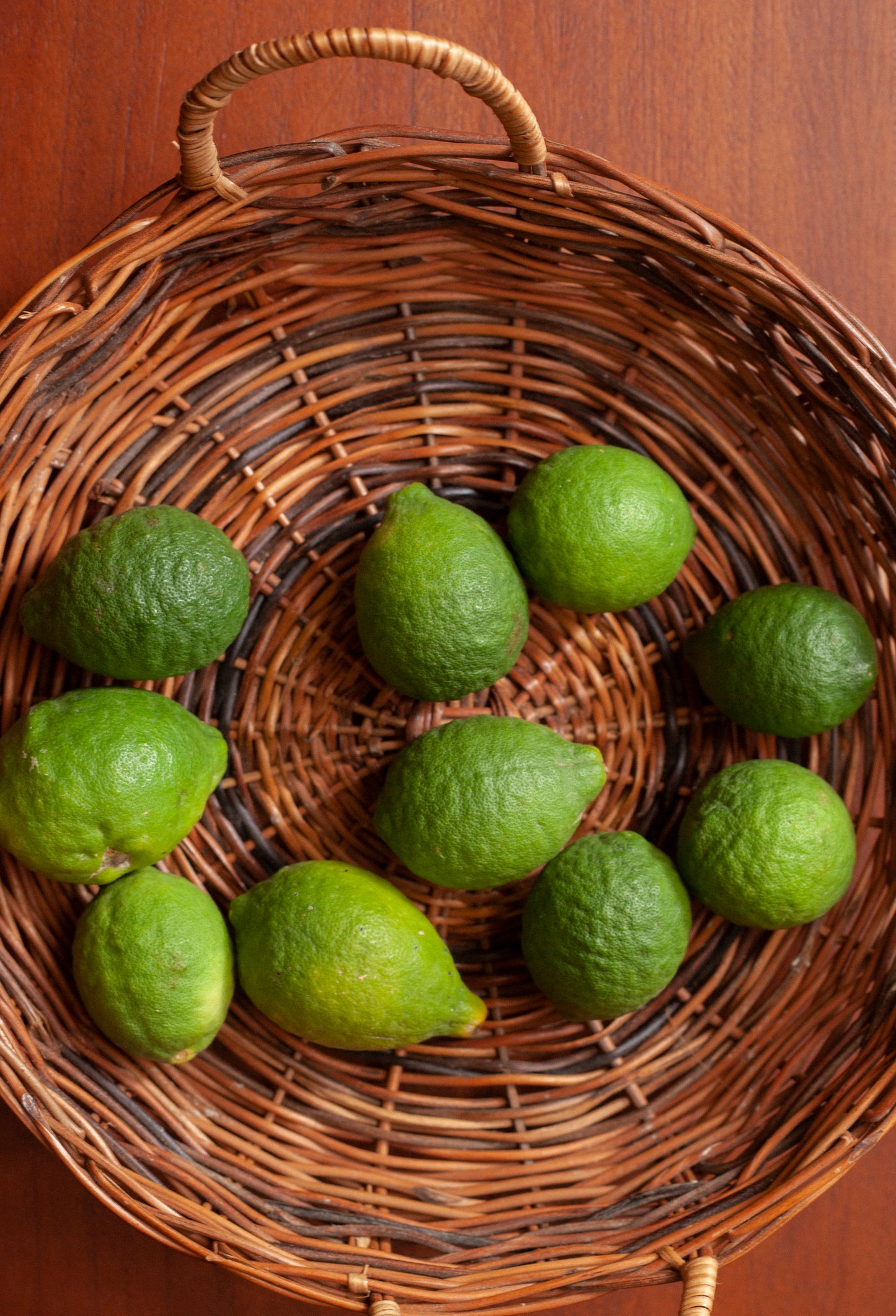 BIASONG (SIBULAN, NEGROS ORIENTAL)