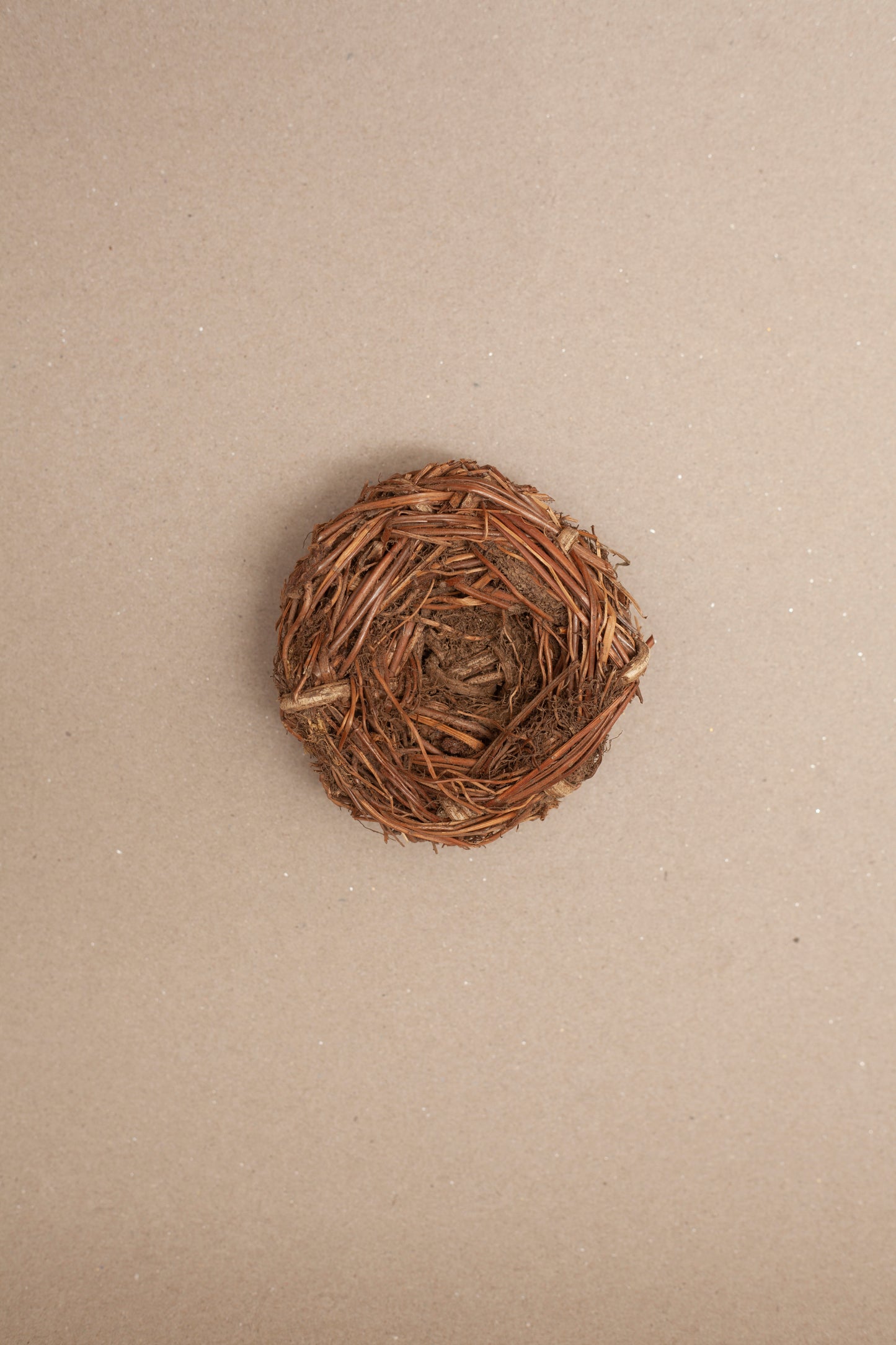 BIRD'S NEST