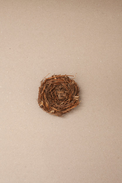 BIRD'S NEST