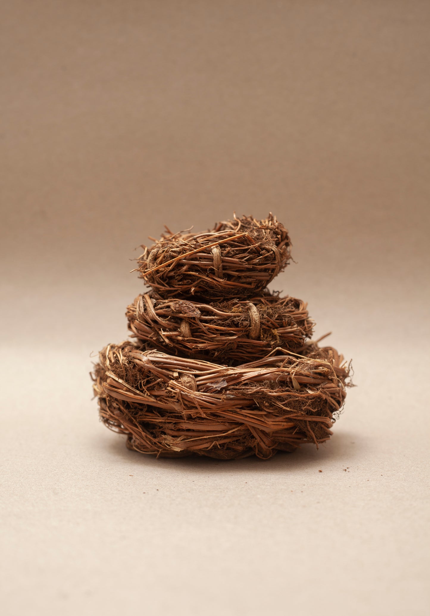 BIRD'S NEST