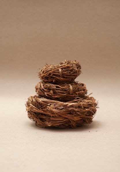 BIRD'S NEST