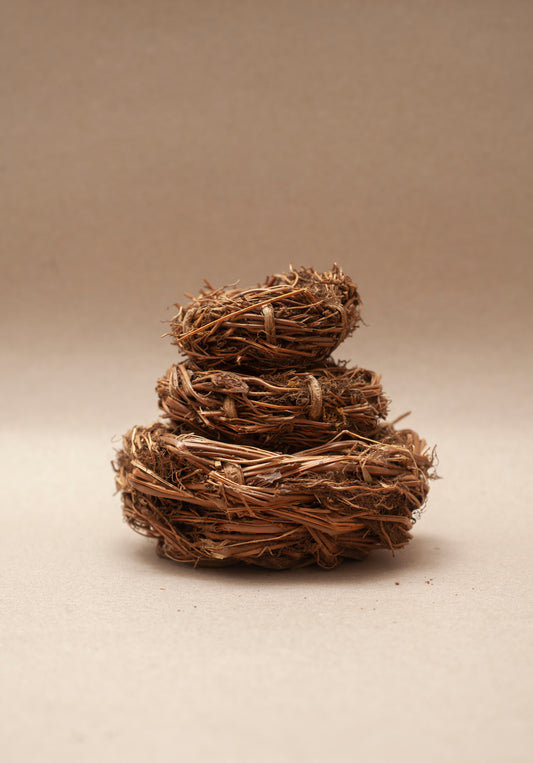 BIRD'S NEST