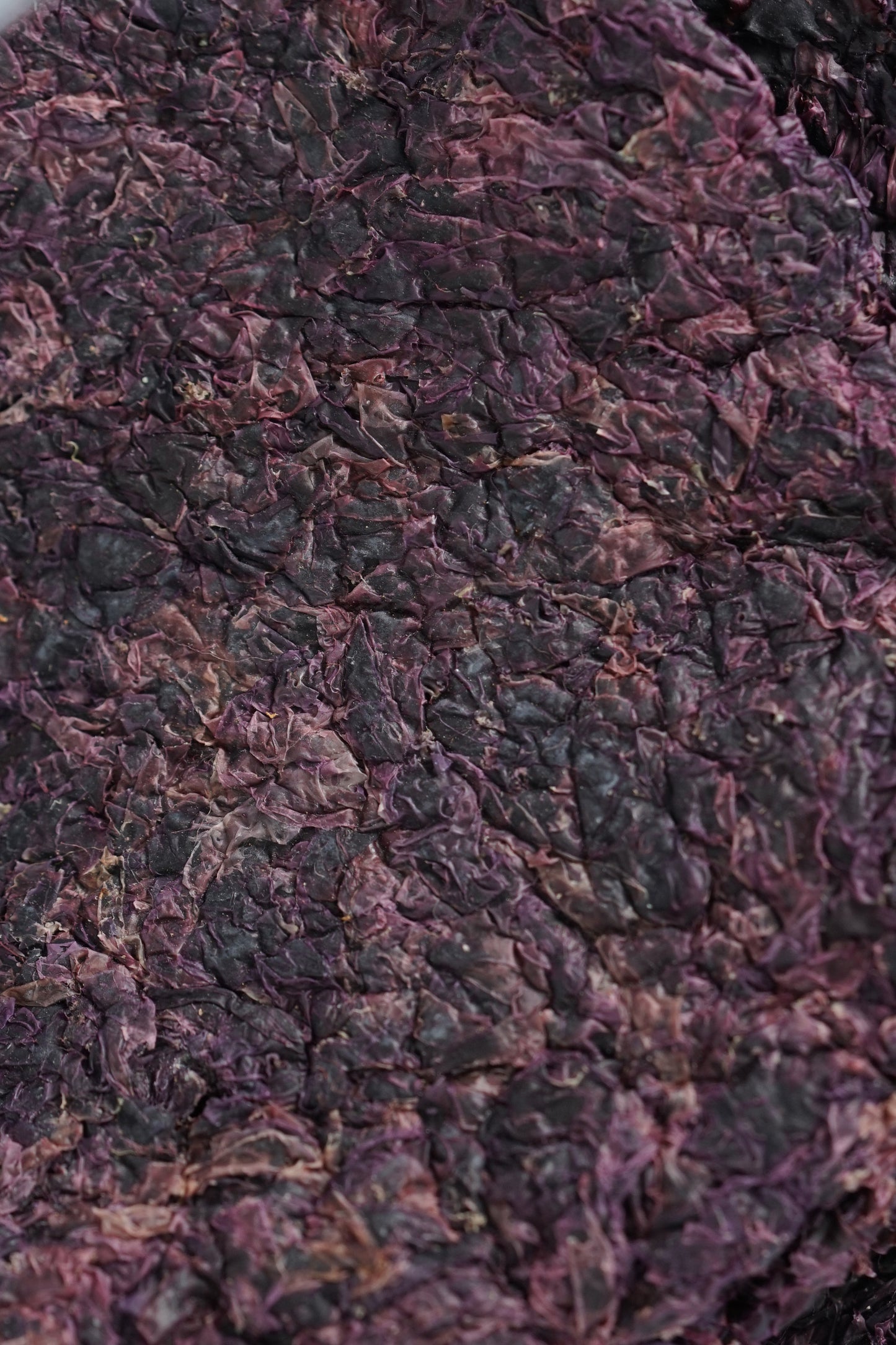 DRIED GAMET SEAWEED (CAGAYAN)