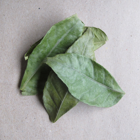 KALUMATA (ISABELA)