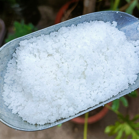 COARSE SEA SALT (MINDORO)