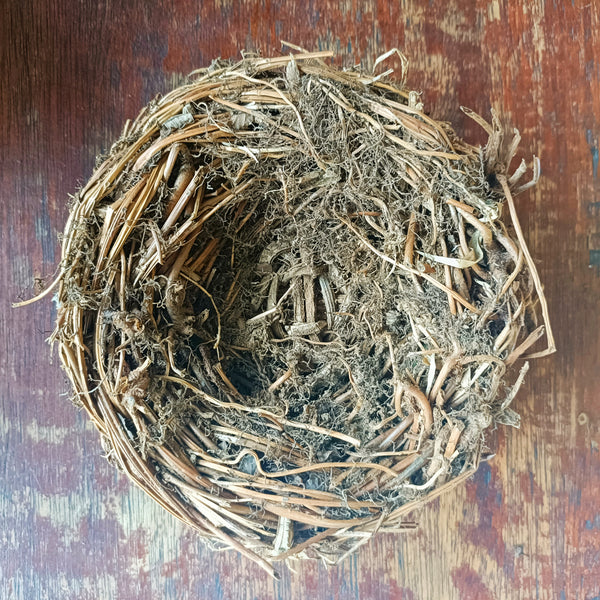 BIRD'S NEST