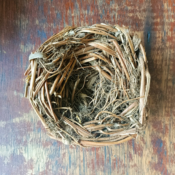 BIRD'S NEST