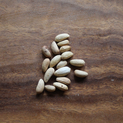 OPEN-POLLINATED SEEDS