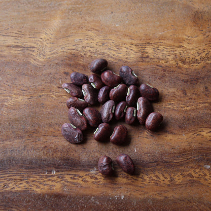 OPEN-POLLINATED SEEDS