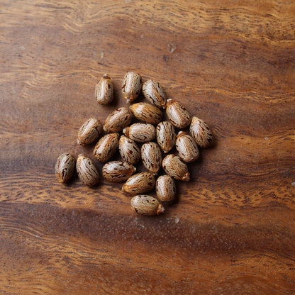 OPEN-POLLINATED SEEDS