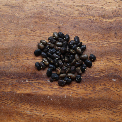 OPEN-POLLINATED SEEDS