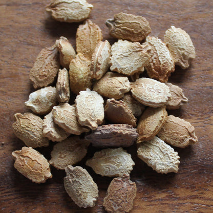 OPEN-POLLINATED SEEDS